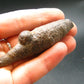 Rare Prophecy Stone Limonite after Pyrite From Egypt - 2.6" - 36.0 Grams