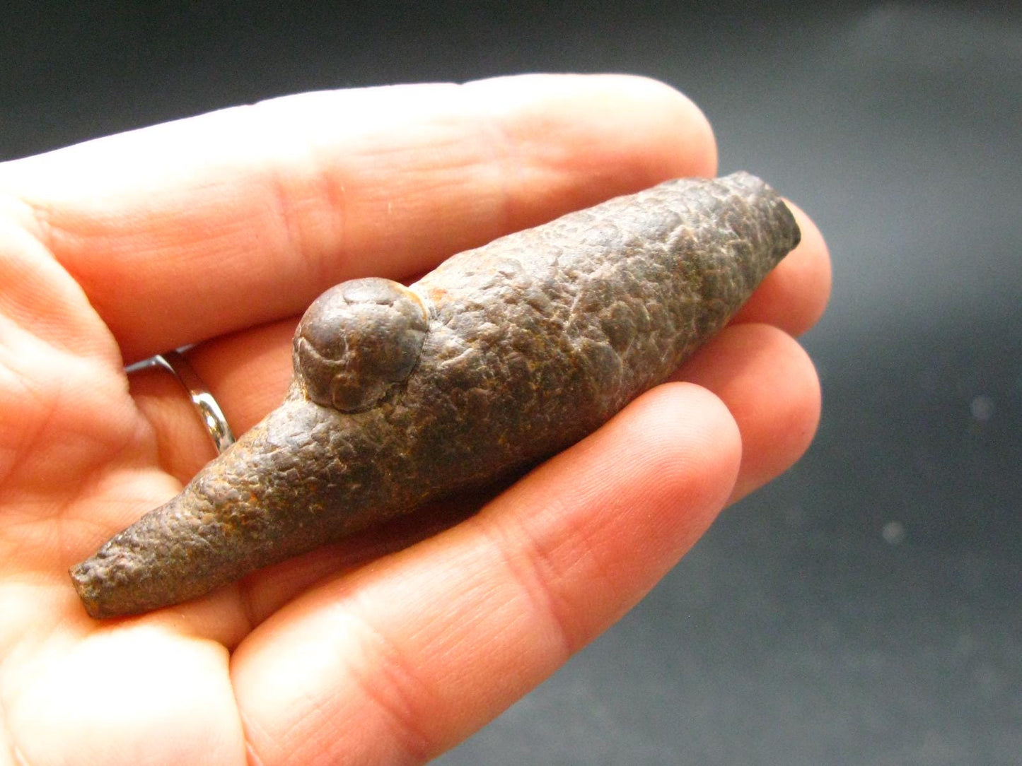 Rare Prophecy Stone Limonite after Pyrite From Egypt - 2.6" - 36.0 Grams