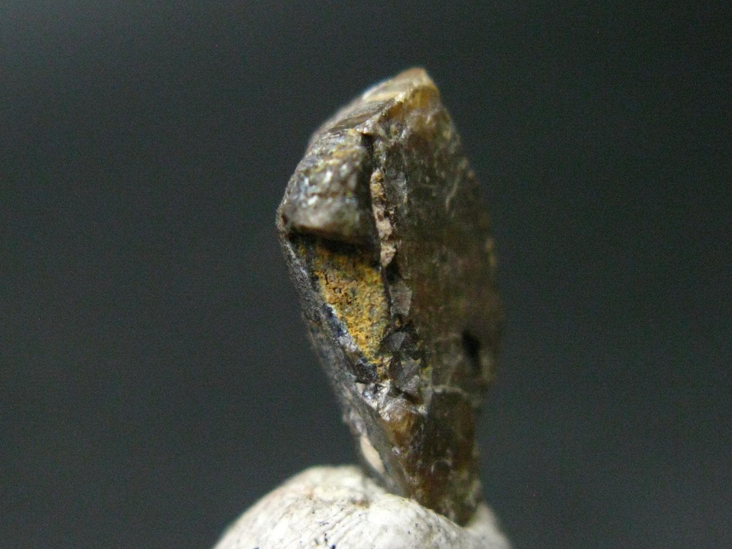 Stibio Tantalite Crystal From Brazil - 0.5" - 8.10 Carats