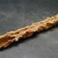 Large Fulgurite Lightning Rock From Sahara Desert - 4.7" - 7.0 Grams