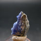 Fine Rare Carletonite Crystal From Mt. St. Hilaire Canada - 0.7" - 1.51 Grams