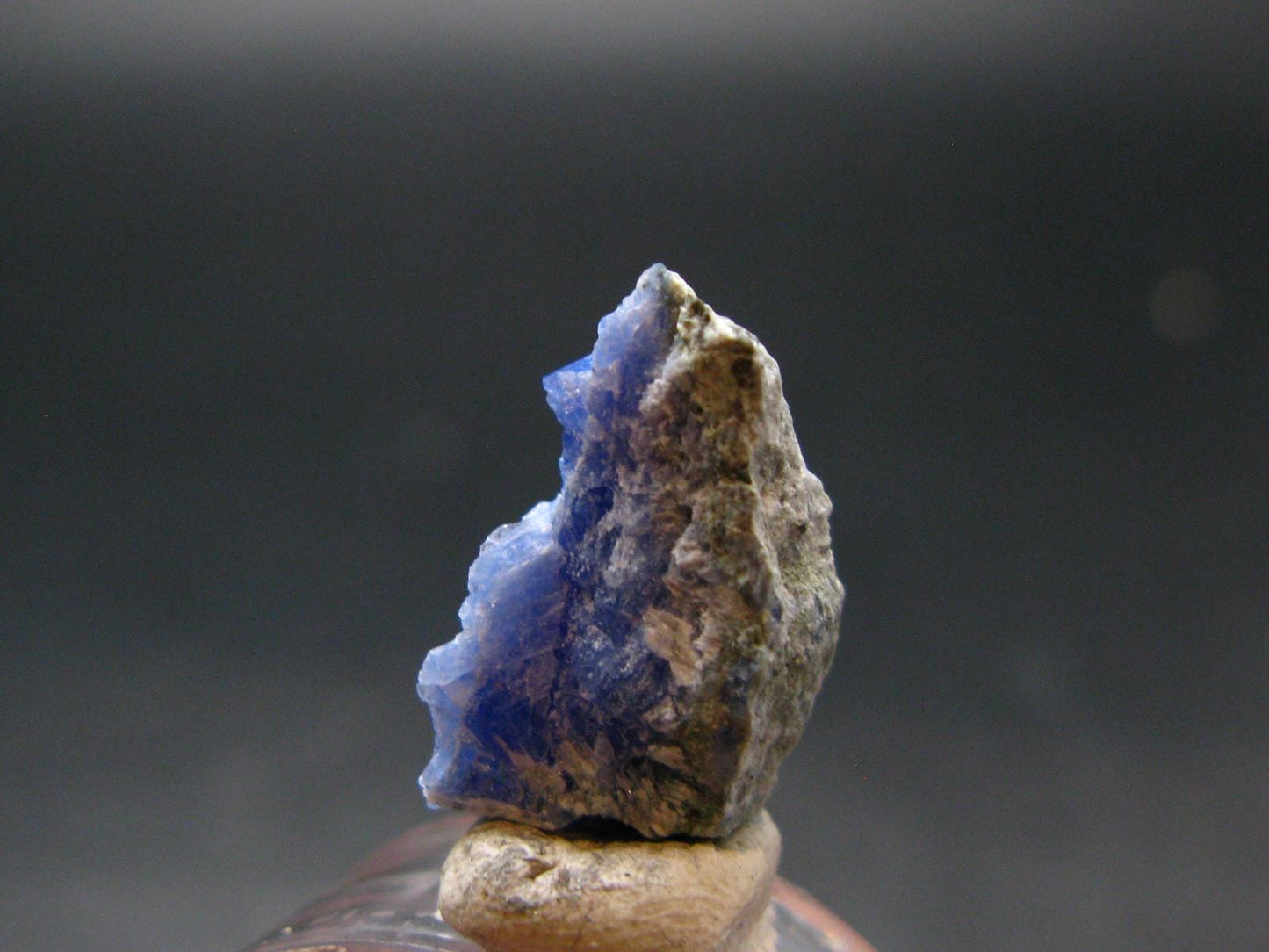 Fine Rare Carletonite Crystal From Mt. St. Hilaire Canada - 0.7" - 1.51 Grams