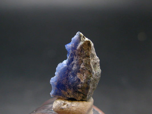 Fine Rare Carletonite Crystal From Mt. St. Hilaire Canada - 0.7" - 1.51 Grams