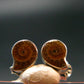 Cute Small Natural Polished Pyritized Ammonite Fossil Stud Earrings In Sterling Silver from Madagascar - 1.57 Grams