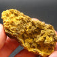 Wulfenite Cluster From Arizona - 2.3"