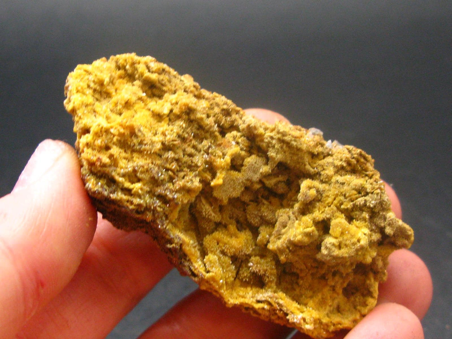 Wulfenite Cluster From Arizona - 2.3"