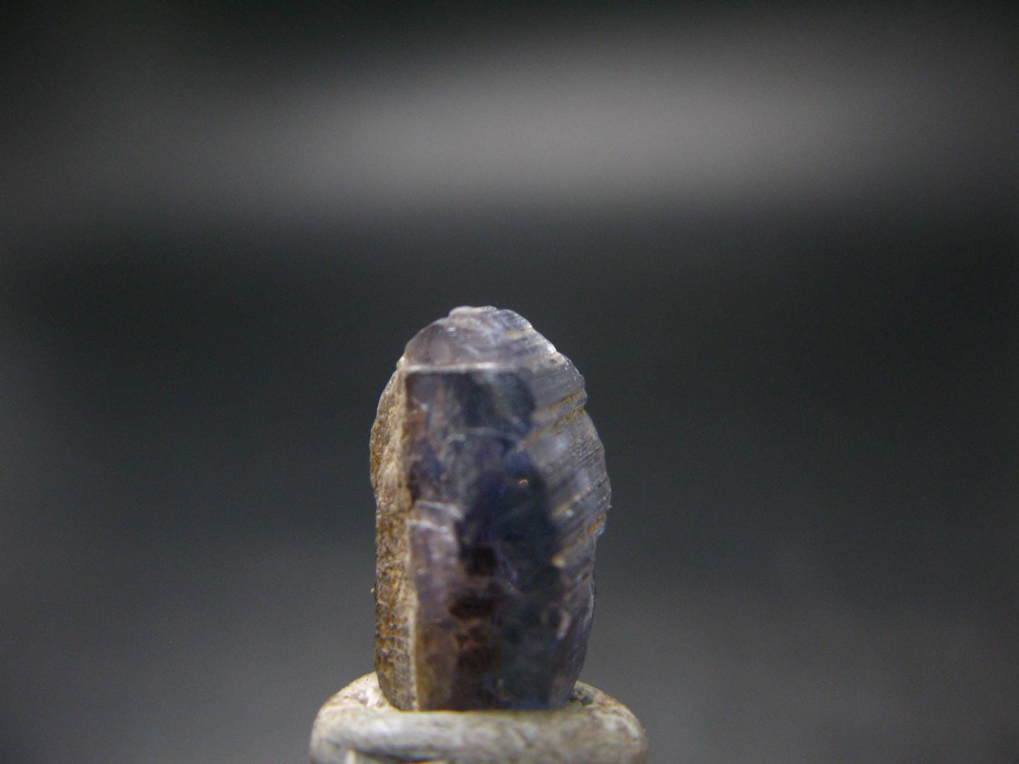 Fine Gem Tanzanite Zoisite Crystal From Tanzania - 10.45 Carats - 0.6"
