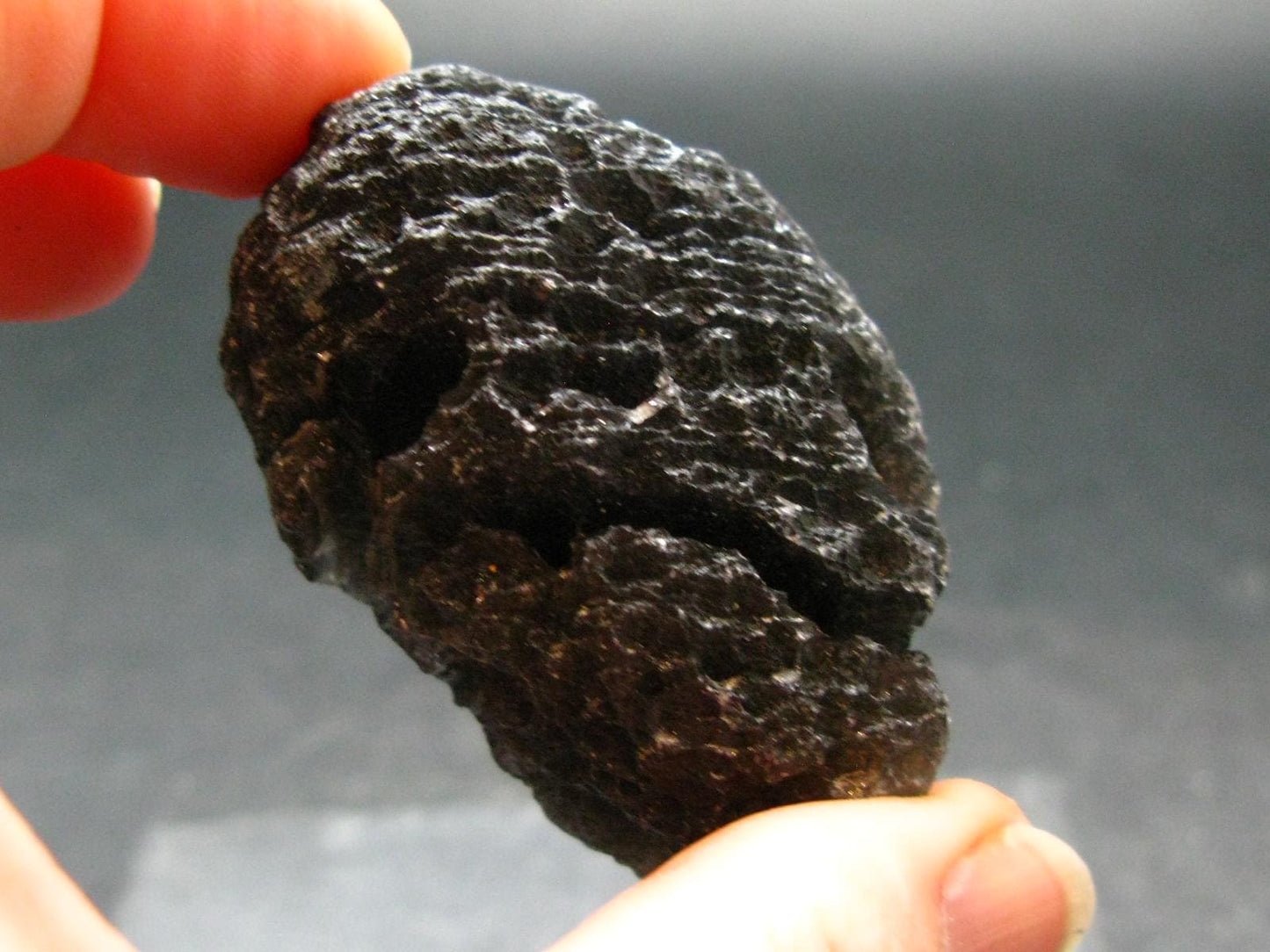 Cintamani Stone from Indonesia - 2.0"