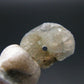 Phenakite Phenacite Raw Crystal Bead from Russia 2.54 Carats