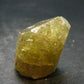 Large Gold Apatite Crysatl from Mexico - 50.85 Grams - 1.6"
