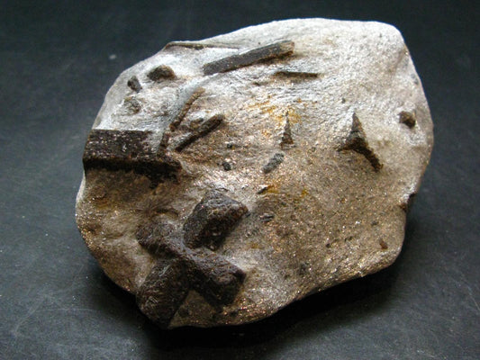 A Perfect Staurolite Crystal from Russia - 3.8" - 318.88 Grams