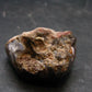 Fire Agate Crystal From Mexico - 0.9" - 7.44 Grams
