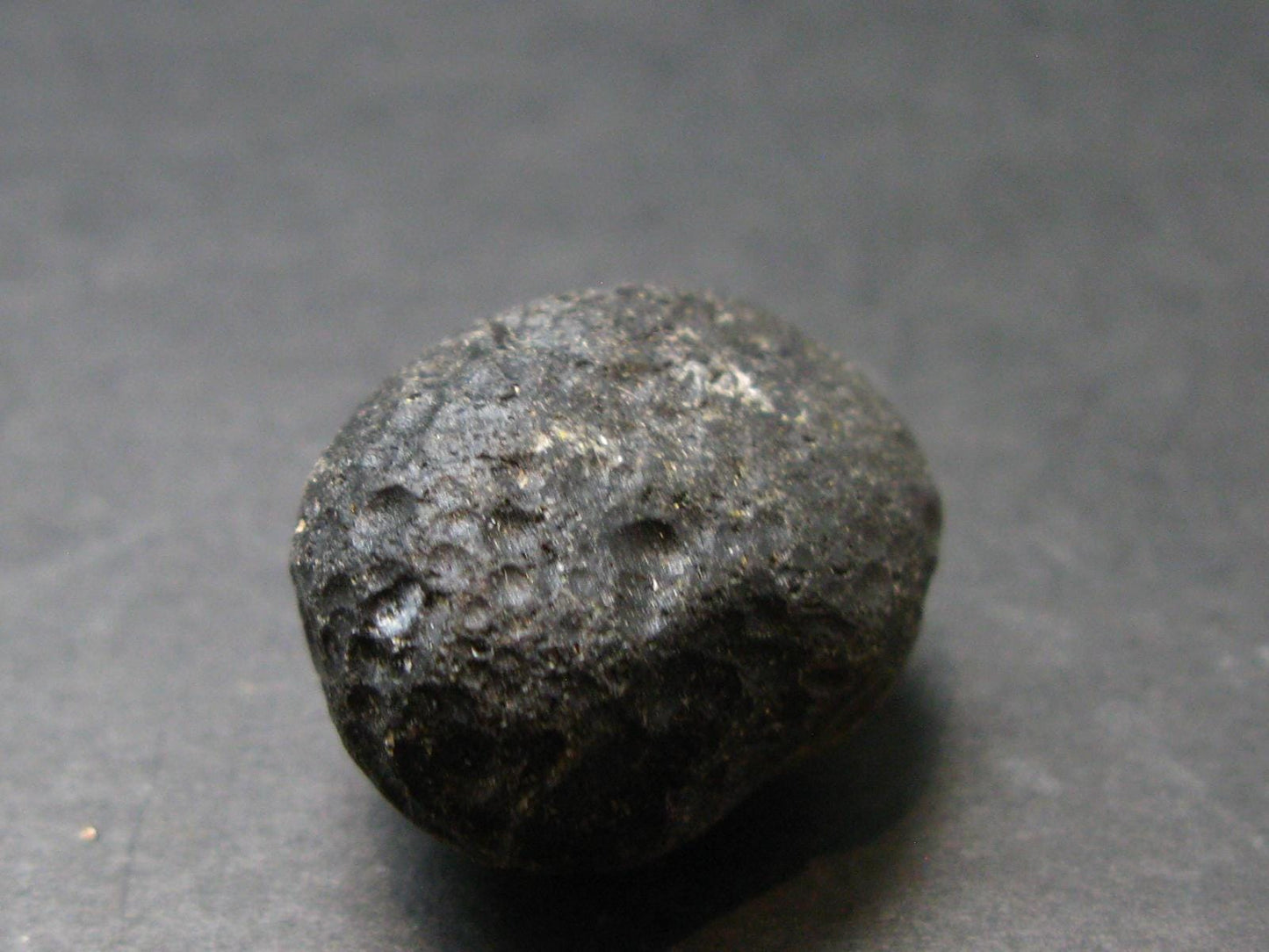 Colombianite Pseudotektite from Colombia - 8.14 Grams - 0.9"