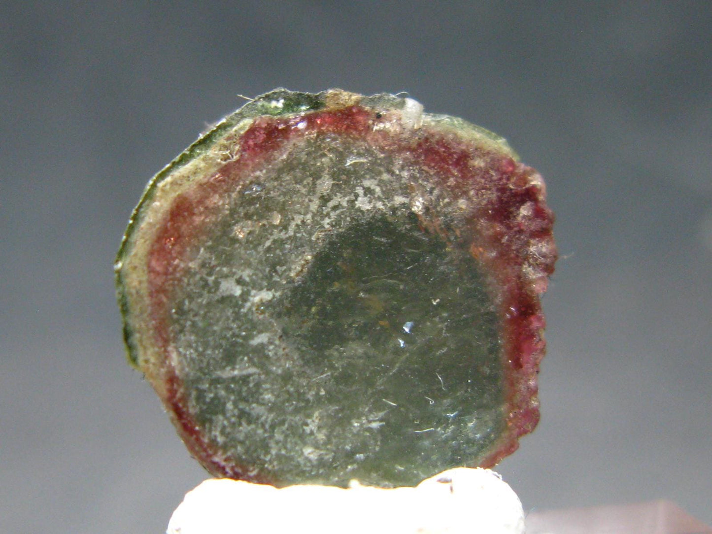 Rare Watermelon Tourmaline Crystal Slice From Brazil - 6.93 Carats
