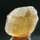 Golden Scapolite Crystal from Morocco - 68.15 Carats - 1.1"