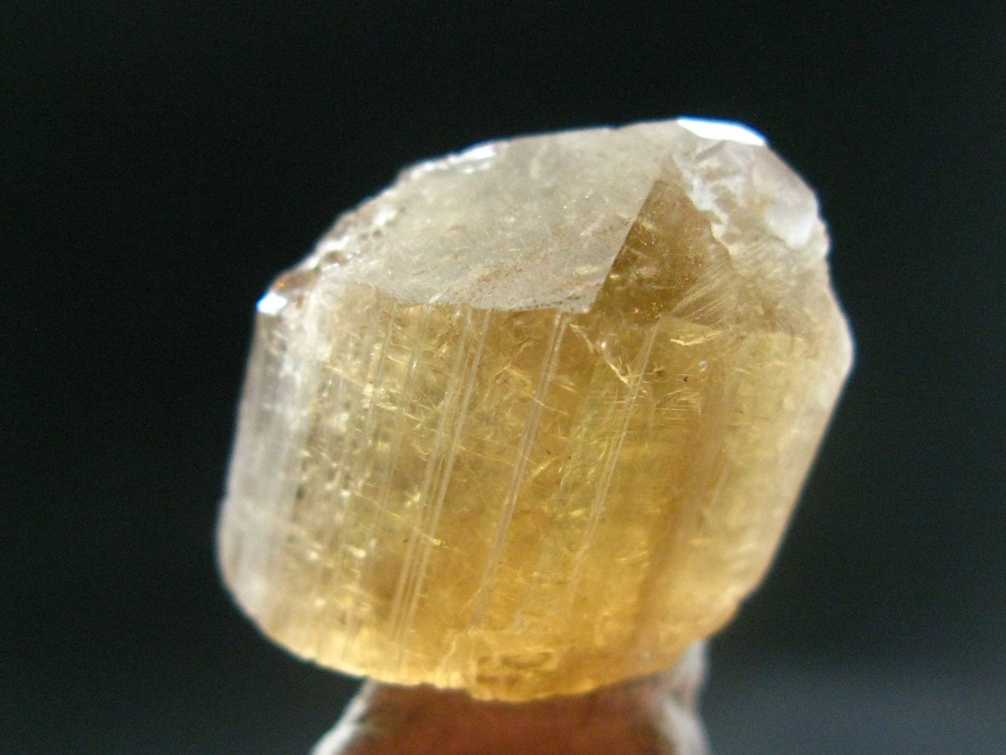 Golden Scapolite Crystal from Morocco - 68.15 Carats - 1.1"