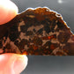 Large Brahin Meteorite Pallasite Olivine Slice From Belarus - 2.3" - 11.00 Grams
