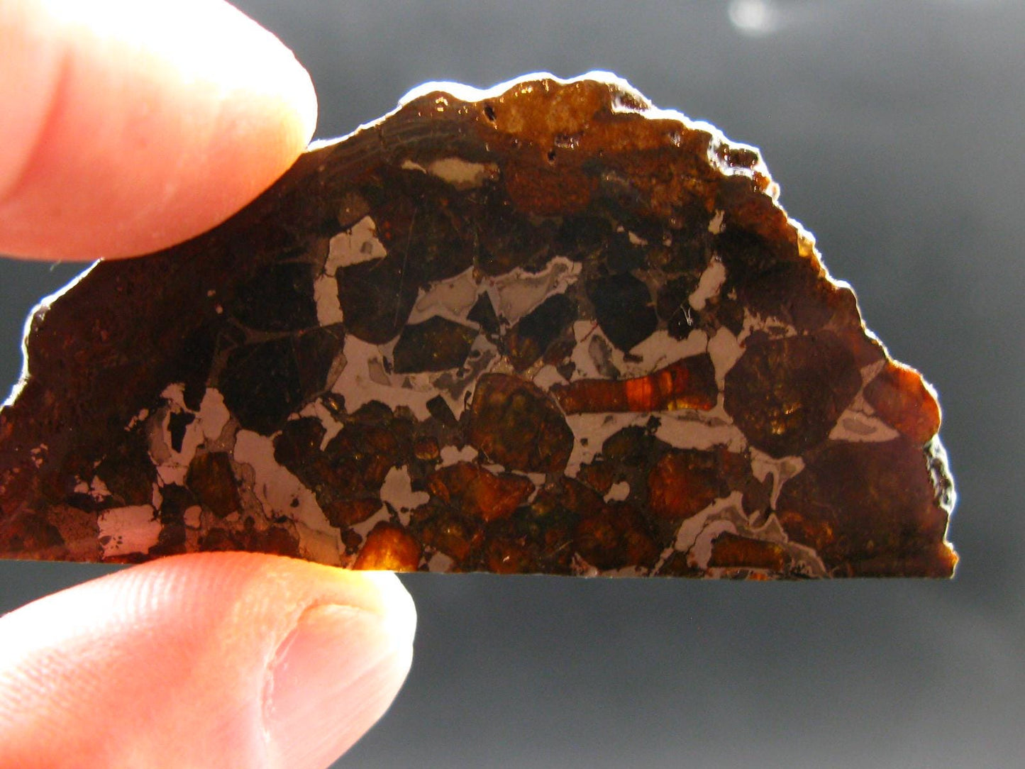 Large Brahin Meteorite Pallasite Olivine Slice From Belarus - 2.3" - 11.00 Grams