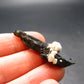 Aegirine Crystal From Malawi - 1.6"