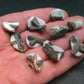 Lot of 10 Perfect Staurolite Crystals from Russia - 30 Grams