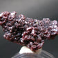 Rare Gem Proustite Cluster From Morocco - 1.2" - 8.64 Grams