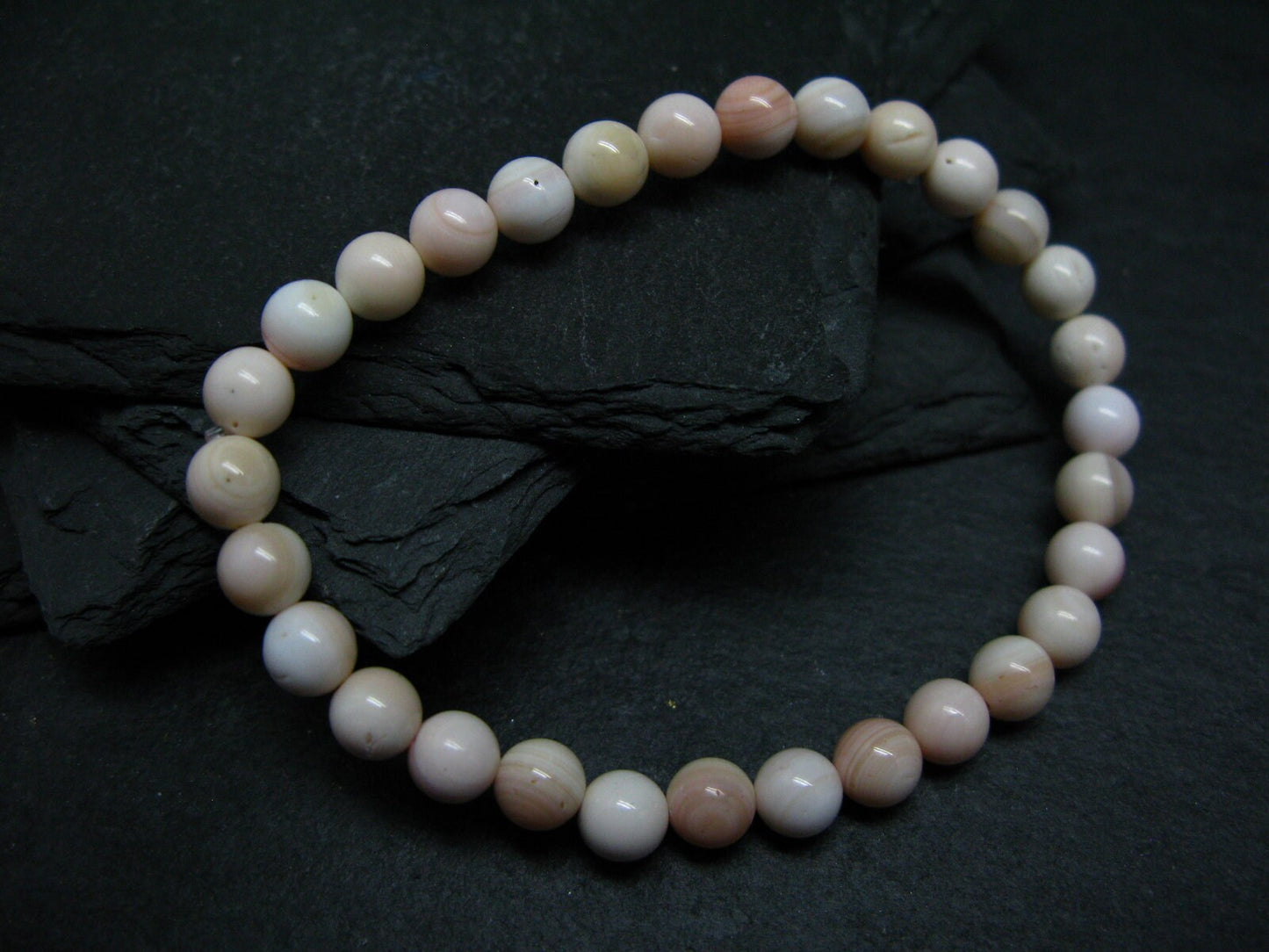 Conch Shell Genuine Bracelet ~ 7 Inches ~ 6mm Round Beads