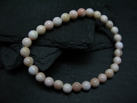 Conch Shell Genuine Bracelet ~ 7 Inches ~ 6mm Round Beads