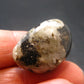 Genuine Phenakite Phenacite Tumbled Crystal from Russia - 40.95 Carats - 0.9"