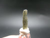 Moldavite Tektite Raw Piece from Czech Republic - 0.8" - 3.20 Carats - 0.64 Grams