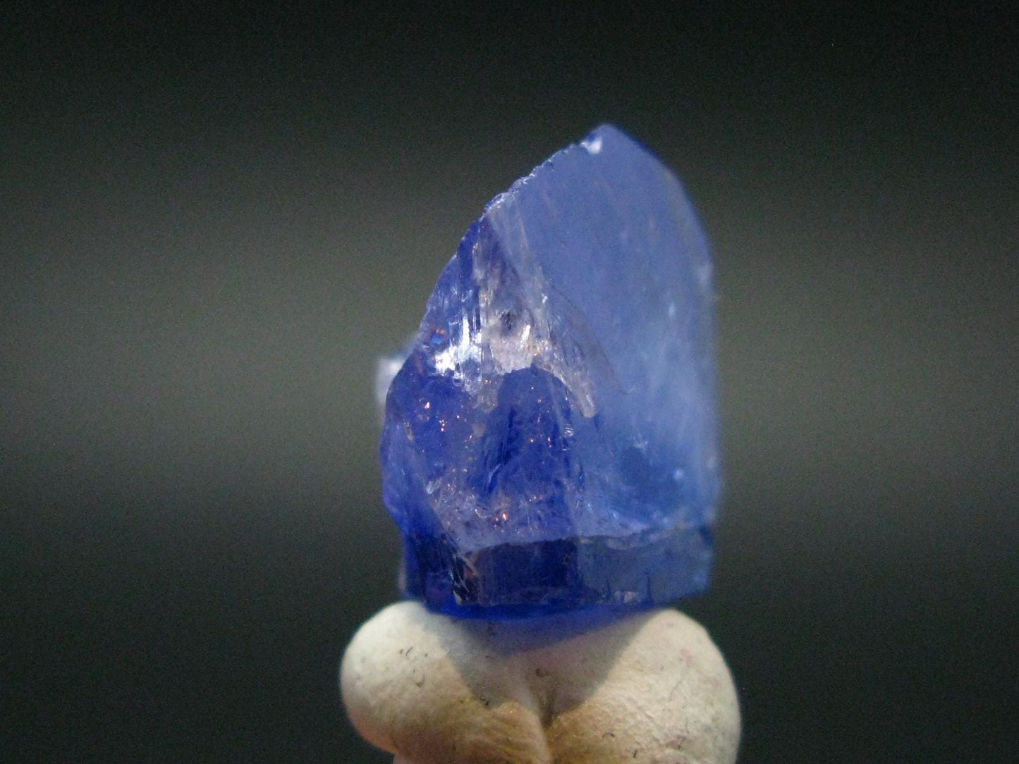 Fine Gem Tanzanite Zoisite Crystal From Tanzania - 28.55 Carats - 0.8"