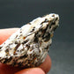 Astrophylite Astrophyllite Cluster From Russia - 1.5" - 11.55 Grams