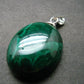 Queen of Green!! Genuine Vivid Vibrant Green Malachite Sterling Silver Pendant - 1.1" - 7.94 Grams