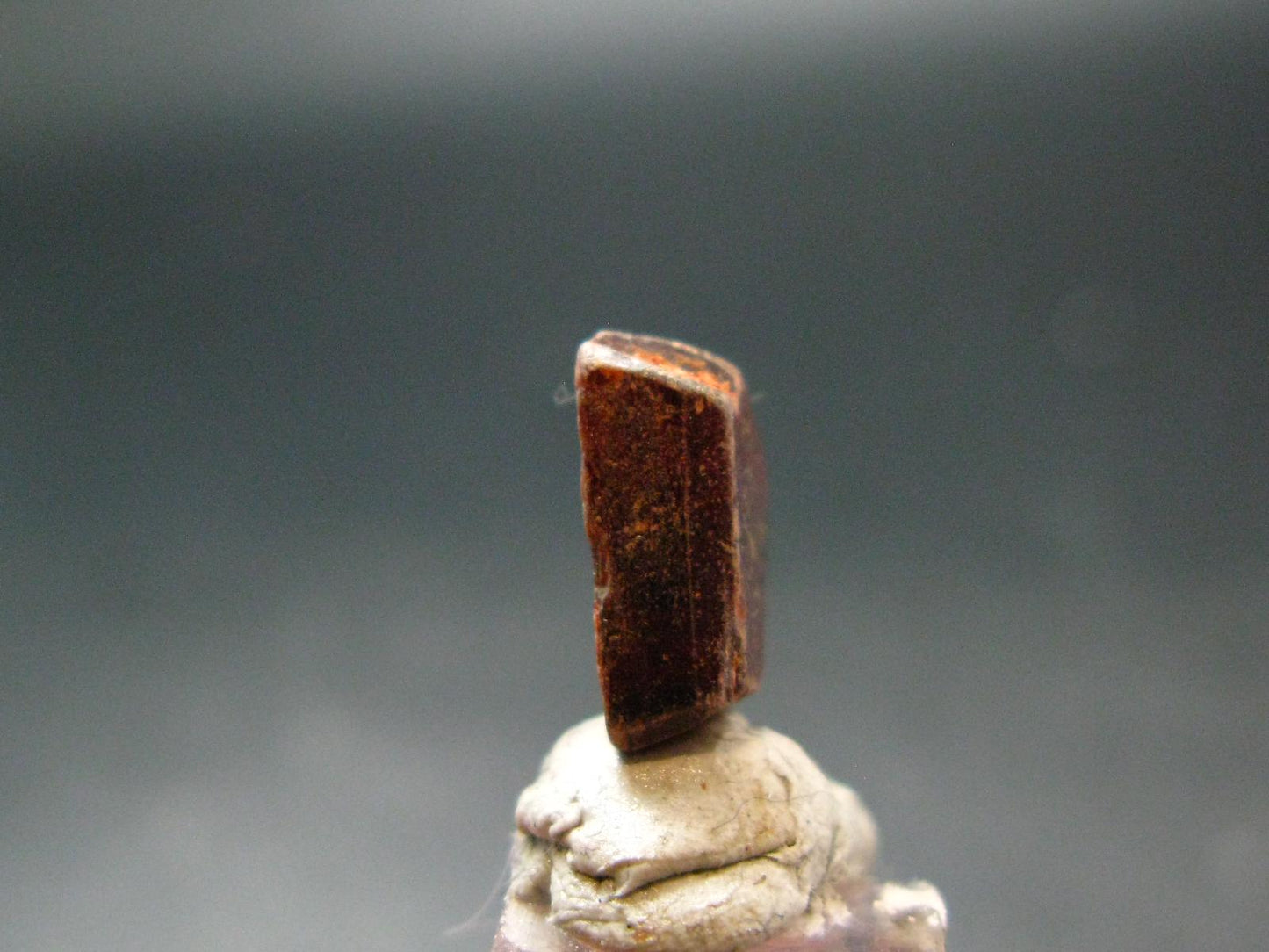 Mangano Tantalite Crystal From Brazil - 0.5" - 10.85 Carats