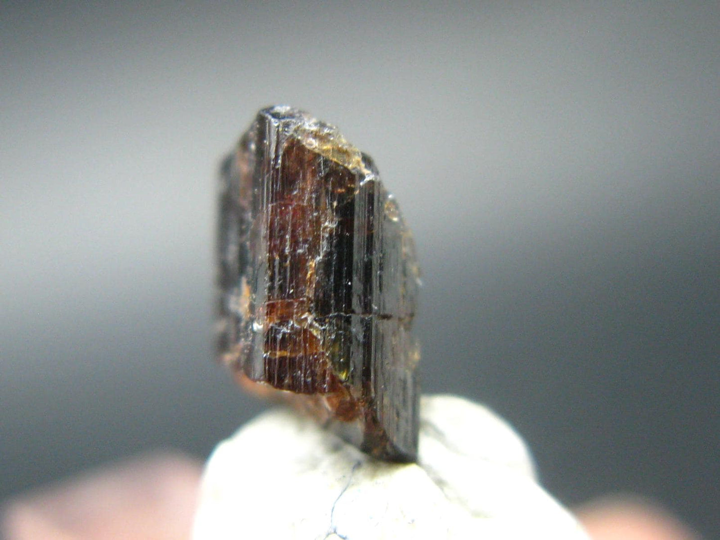 Rare Painite Crystal From Myanmar - 2.02 Carats