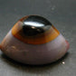 Perfect! 2.5" Agate Shiva Eye from India - 100.35 Grams