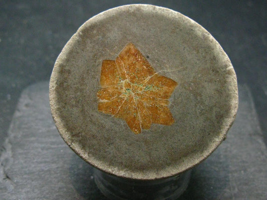 Glendonite (Ikaite after Calcite) Crystal From Russia - 2.0" - 95.33 Grams