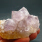 Fine Cactus Amethyst Spirit Quartz Crystal From South Africa - 2.6" - 94.49 Grams