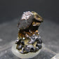 Sperrylite Crystal On Matrix From Russia - 1.3" - Huge 8mm Crystal
