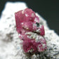 Rare Gem Bixbite Red Emerald Beryl Cluster From Utah USA - 1.3" - 5.61 Grams