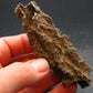 Large Fulgurite Lightning Rock From Sahara Desert - 3.3"