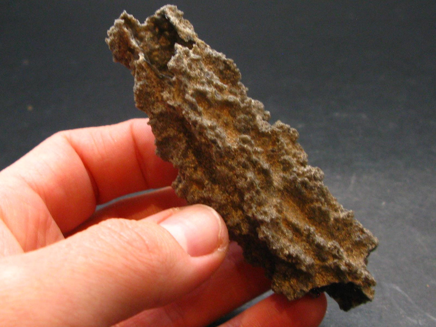 Large Fulgurite Lightning Rock From Sahara Desert - 3.3"