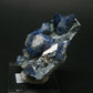 Museum Benitoite and Neptunite on Natrolite Cluster From California - 2.1"