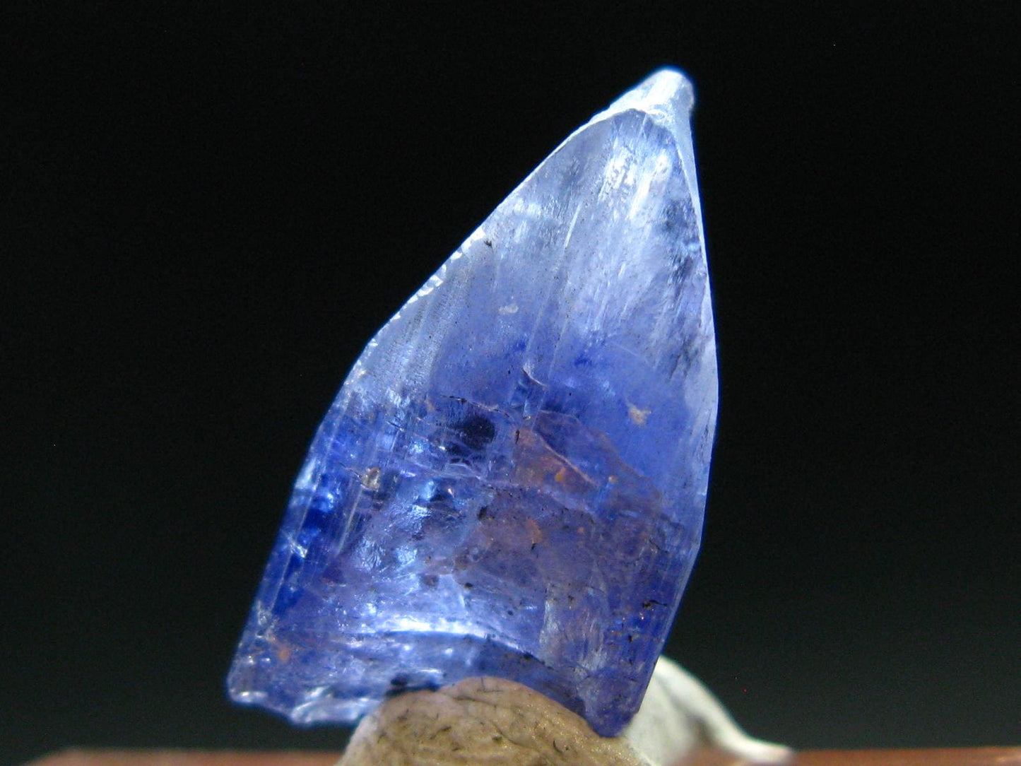 Fine Gem Tanzanite Zoisite Crystal From Tanzania - 8.11 Carats - 0.7"