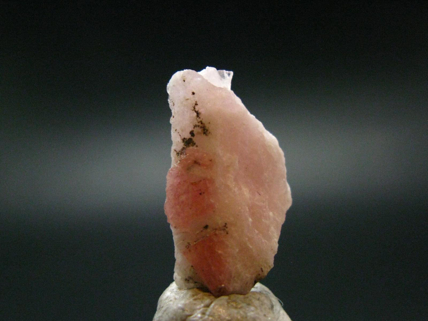 Rare Pezzottaite Crystal from Madagascar - 9.65 Carats - 0.7"