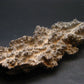 Large Fulgurite Lightning Rock From Sahara Desert - 6.2"