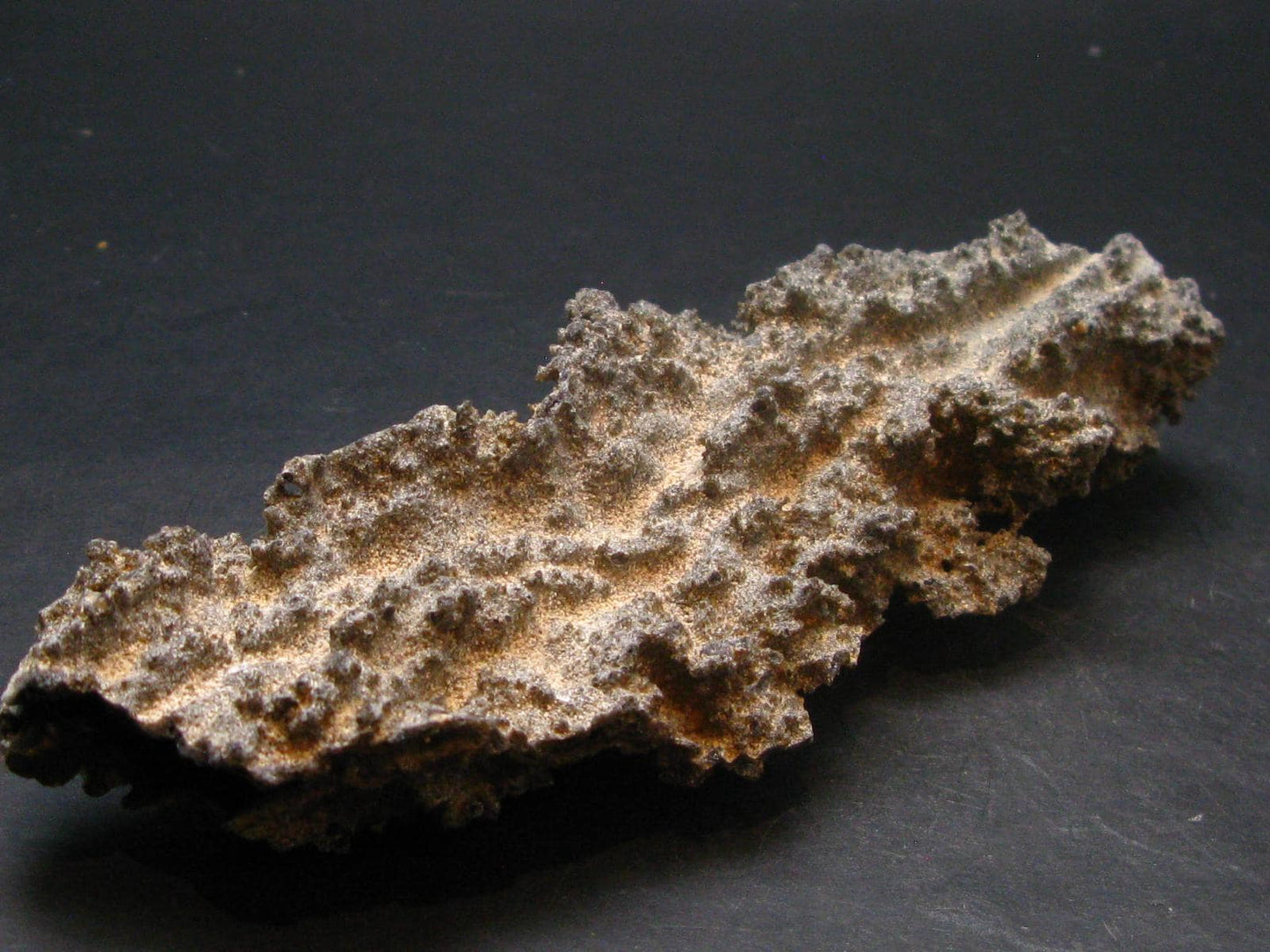 Large Fulgurite Lightning Rock From Sahara Desert - 6.2"