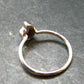 Natural Whole Polished Agatized Ammonite Cleoniceras Sterling Silver Ring from Madagascar - 1.77 Grams - Size 8
