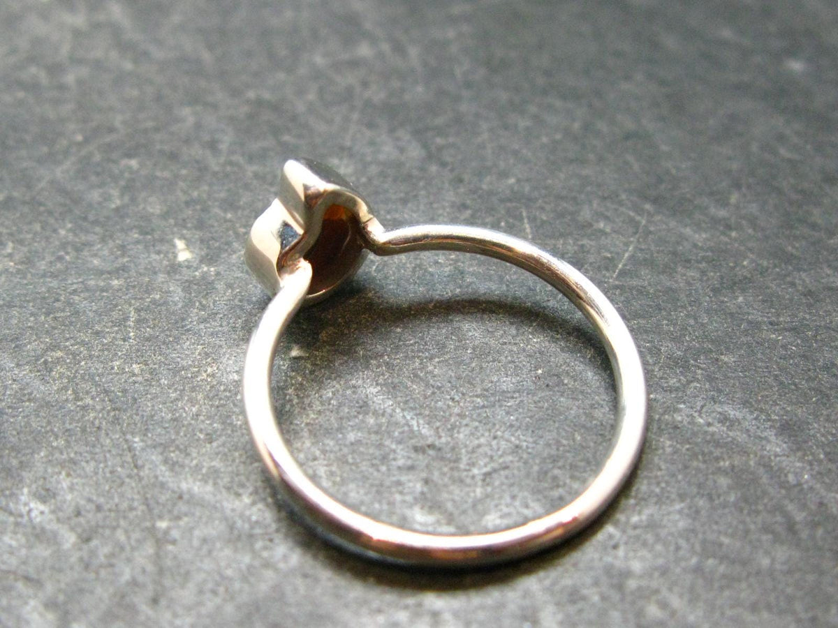 Natural Whole Polished Agatized Ammonite Cleoniceras Sterling Silver Ring from Madagascar - 1.77 Grams - Size 8