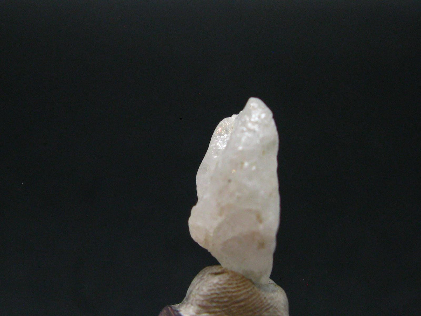 Phenakite Phenacite Crystal from Nigeria - 9.57 Carats