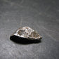Sikhote Alin Meteorite From Russia - 2.31 Grams - 0.6"